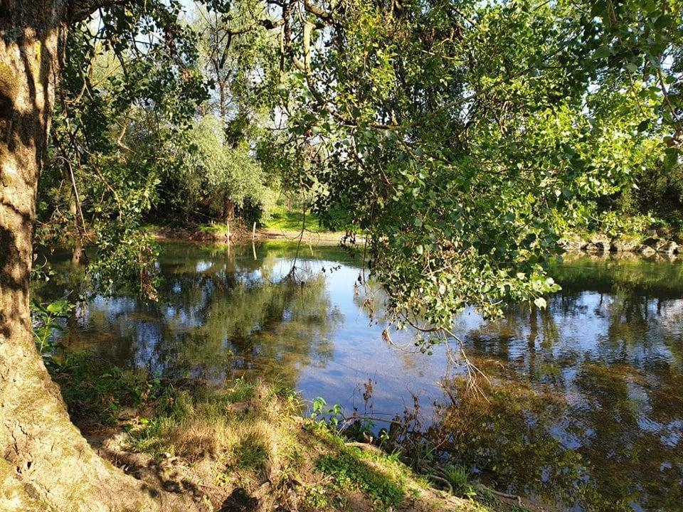 Ecrin De Nature En Bord De Riviere Cenans Eksteriør billede